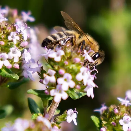 Apartmán Urlaubsoase Huegelperle