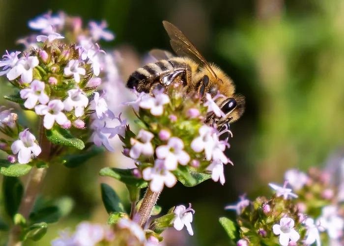 شقة Urlaubsoase Huegelperle